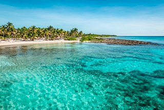 Serene blue sea with palms and beach in the Caribbean | MSC Cruises