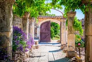 Beautiful garden with greenery and purple flowers in Provence, France | MSC Cruises