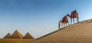 Egypt Cruise, Pyramids of Giza, Egypt | MSC Cruises