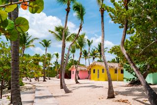 Palmeras y casas coloridas en la soleada costa caribeña | MSC Cruceros