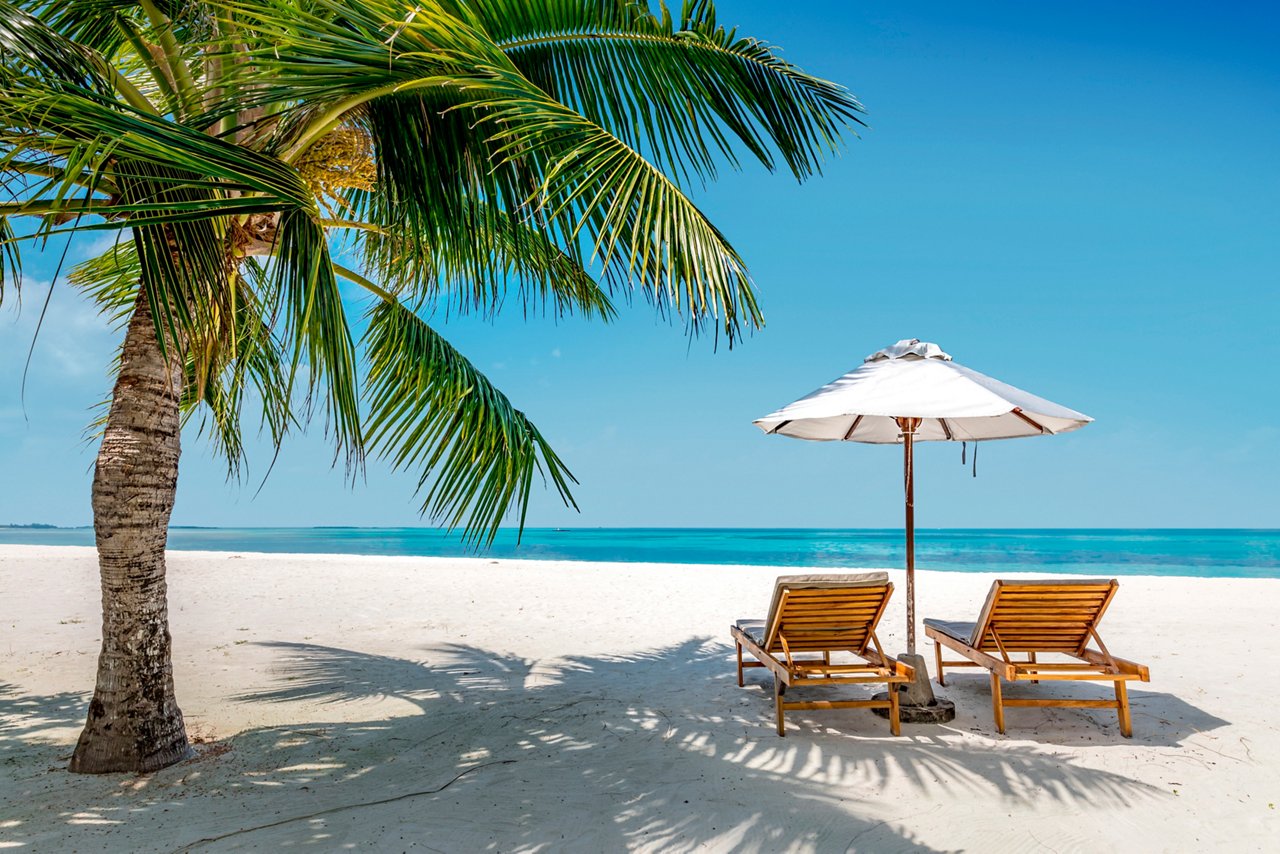 Sandstrand mit Palme und Liegen unter einem Sonnenschirm, ruhiger Meerblick | MSC Cruises