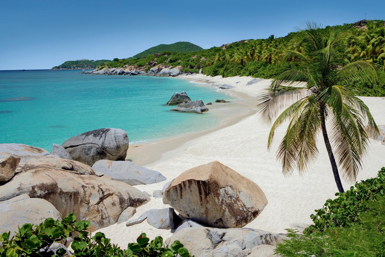 Crystal-clear sea and white sandy beach with palm trees on Virgin Gorda | MSC Cruises