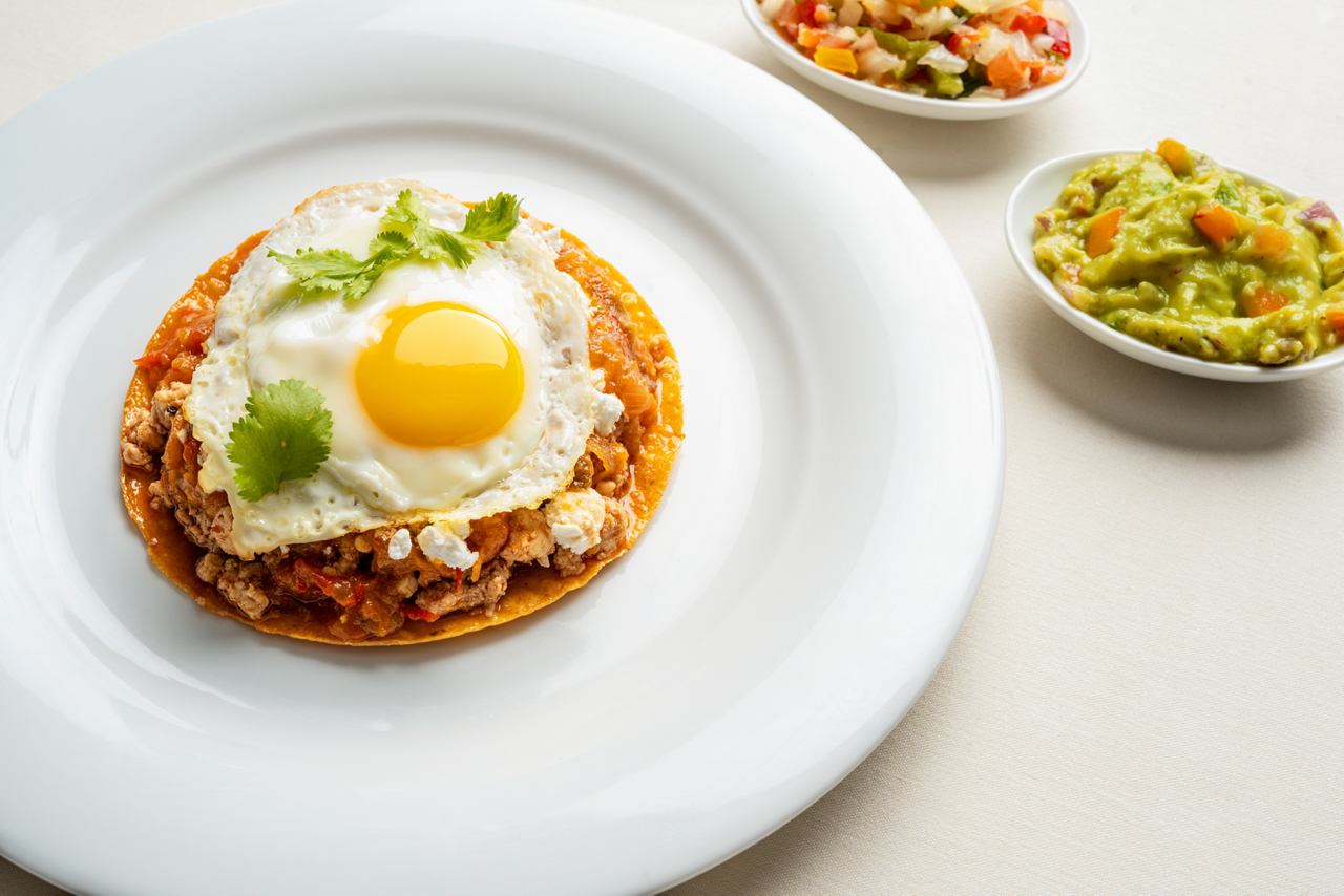 Close-up of egg with avocado and sauce, part of MSC Food Experiences | MSC Cruises