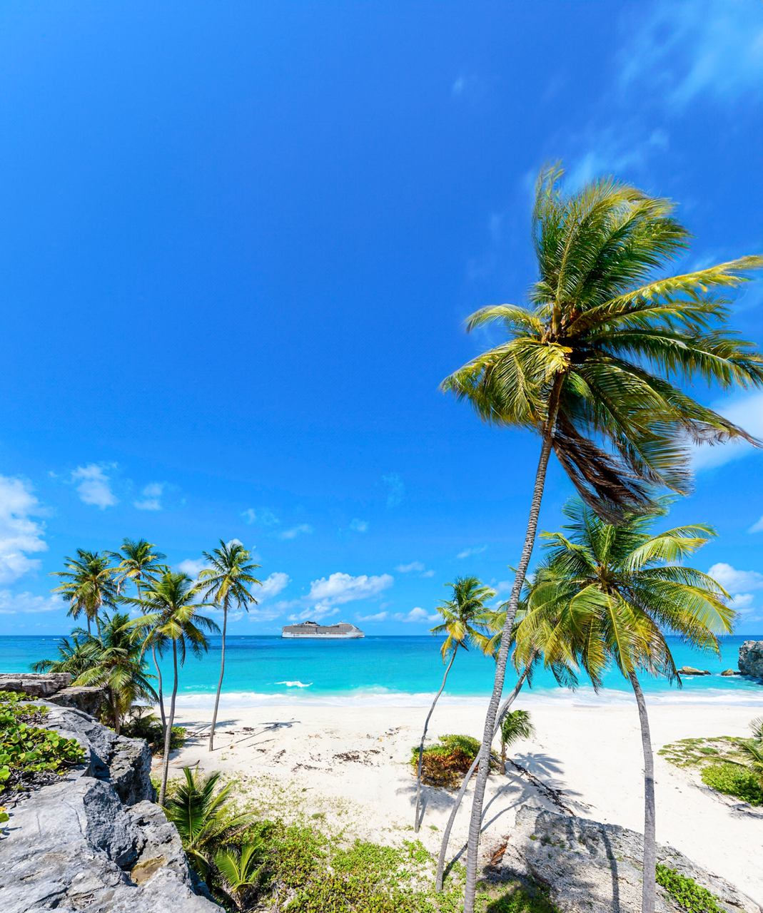 Palmen und Sandstrand mit Felsen in Bottom Bay Barbados mit MSC World Europa Schiff | MSC Cruises