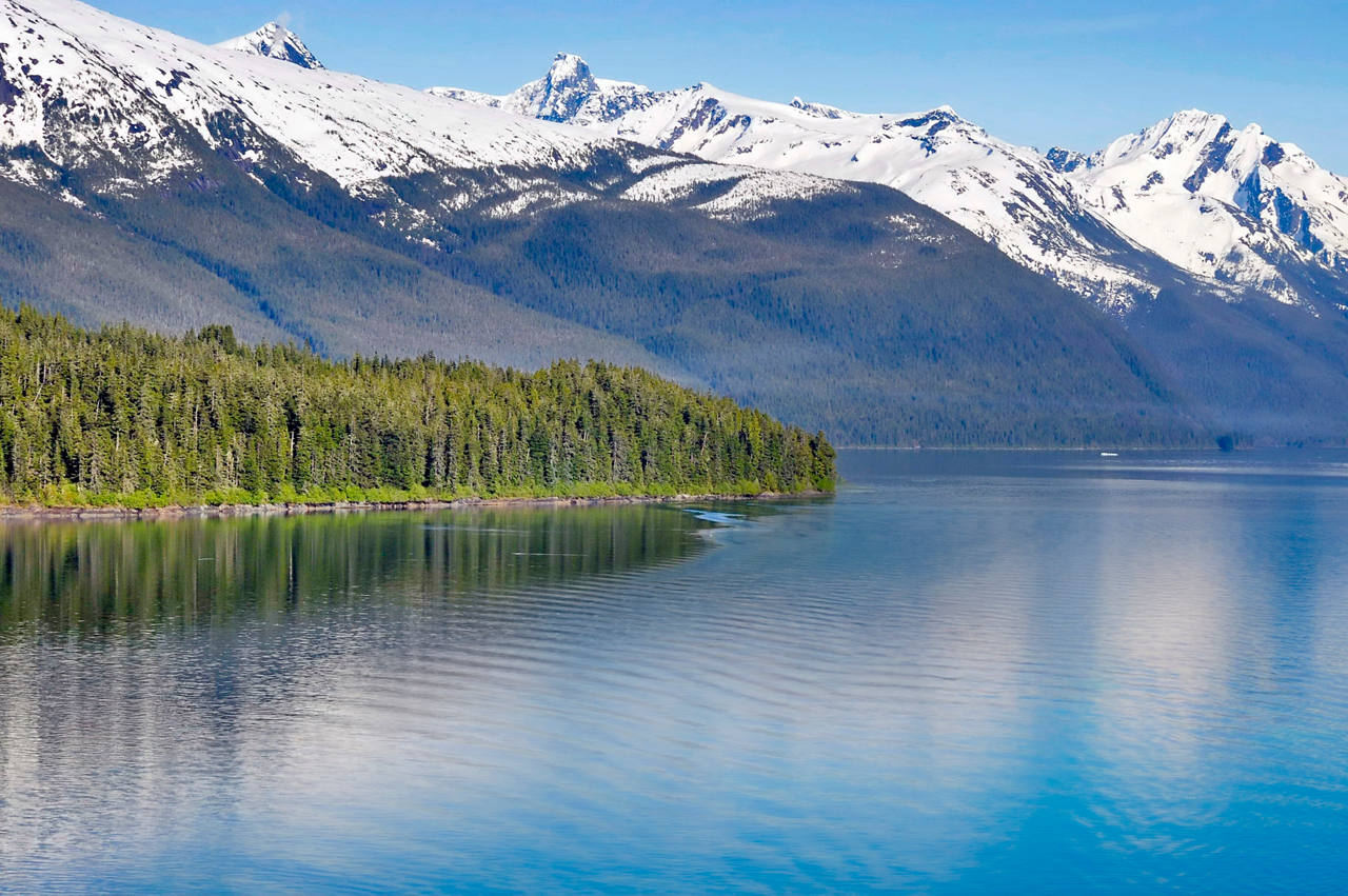 Vista de la costa con montañas, árboles y glaciar en Alaska, EE. UU. | MSC Cruises