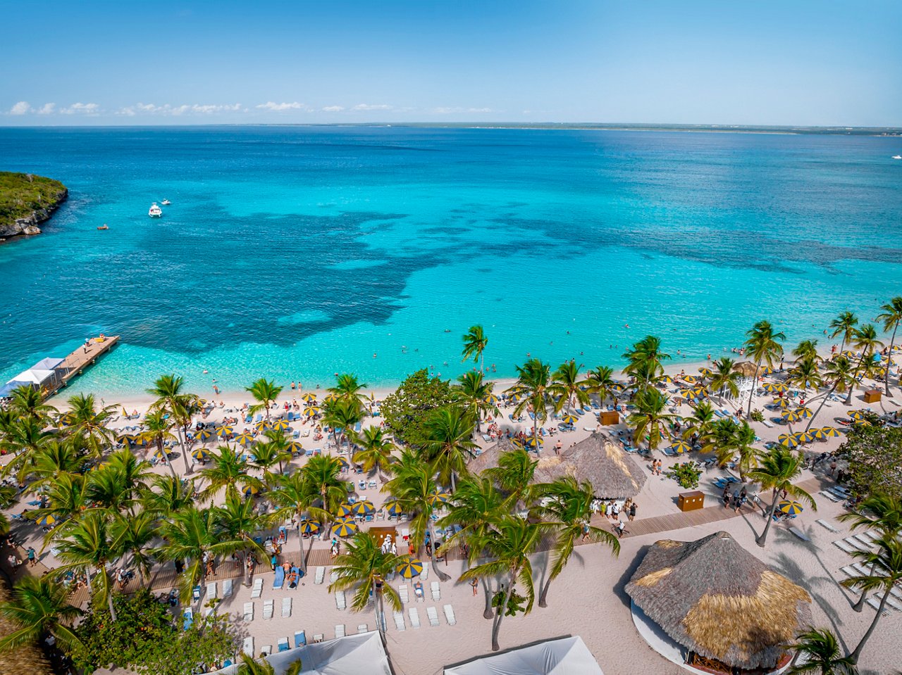 Vista aérea de una playa con palmeras y mar azul en la isla Catalina | MSC Cruceros