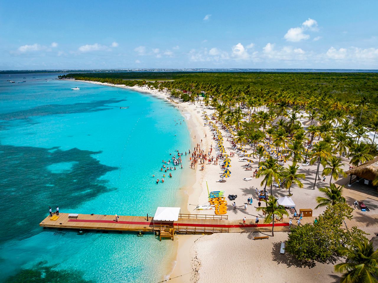 Vista aérea de playa con palmeras y mar turquesa en la Isla Catalina, República Dominicana | MSC Cruceros