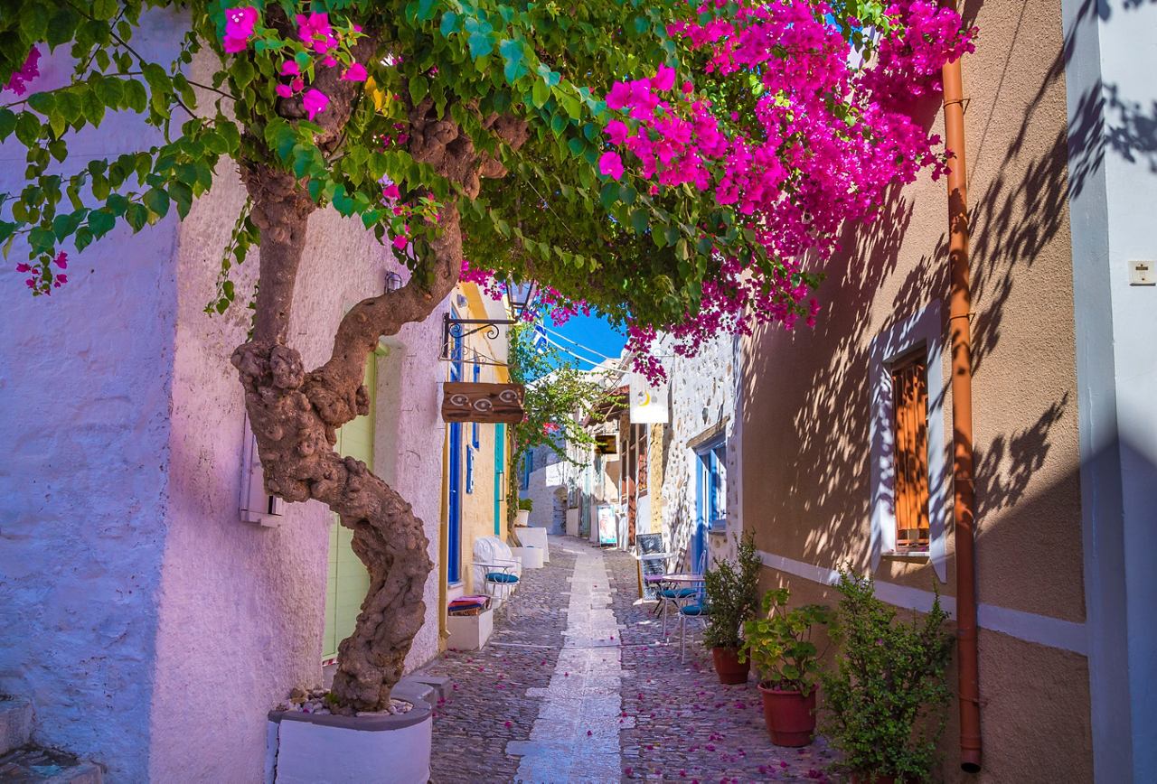 House with flowers and tree under blue sky on Syros island in Greece | MSC Cruises