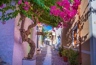 Haus mit Blumen und Baum unter blauem Himmel auf der Insel Syros in Griechenland | MSC Cruises