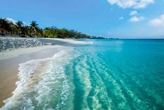 Playa con palmeras y mar claro en Turks y Caicos | MSC Cruises