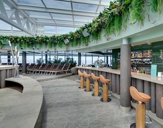 Moderne Barumgebung mit Pflanzen und gemütlichen Sitzgelegenheiten, ideal zum Verweilen | MSC Cruises