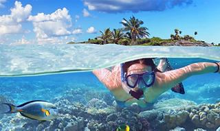 A snorkeler explores vibrant underwater life in clear blue waters near a tropical island | MSC Cruises