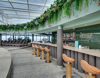 A stylish bar area with natural greenery and seating, inviting guests to relax and enjoy refreshments | MSC Cruises